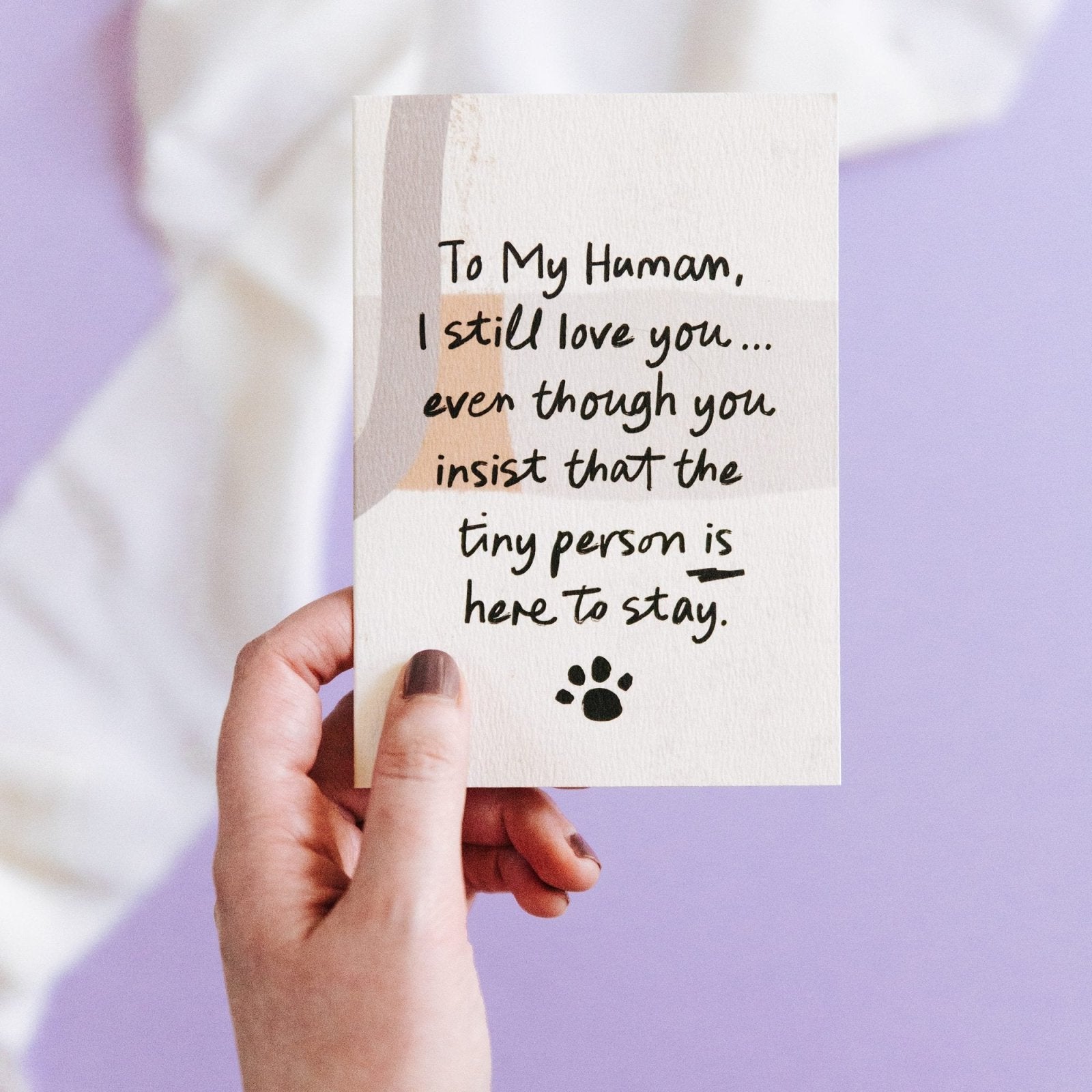 Funny Card from the Dog or Cat - I Still Love You - I am Nat Ltd - Greeting Card