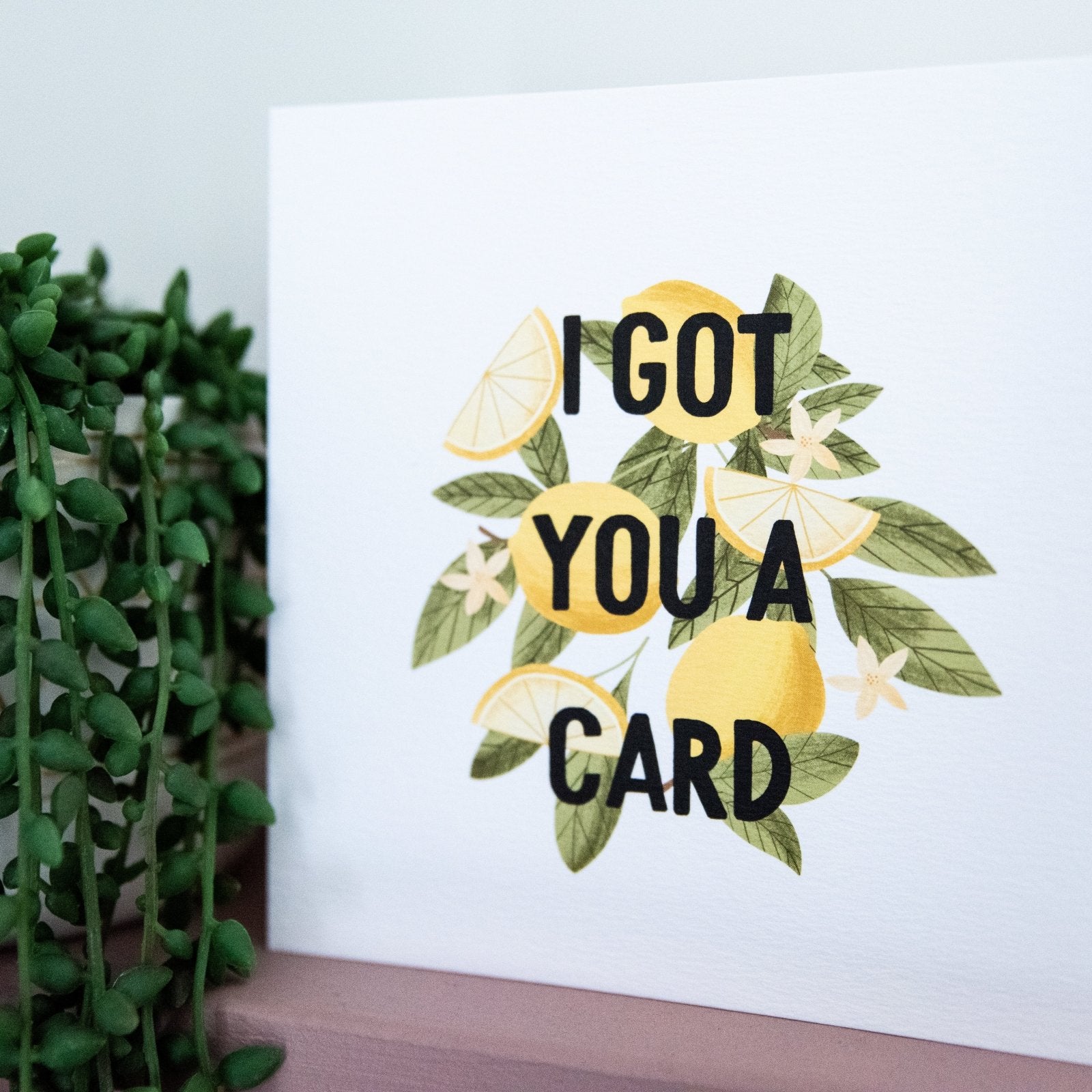 I Got You A Card - All Occasions Card - I am Nat Ltd - Greeting Card