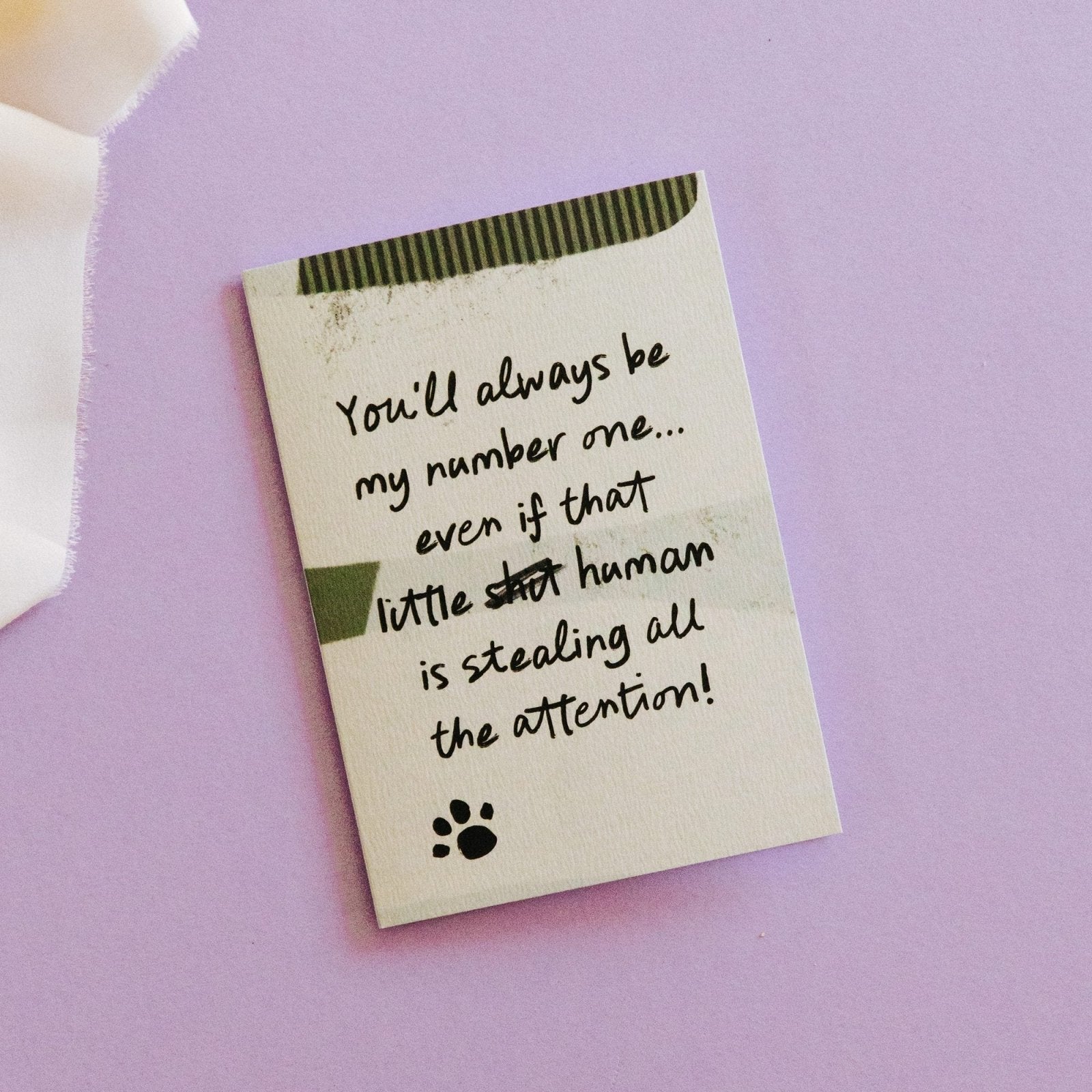 My Number One - Funny Card from Dog or Cat - I am Nat Ltd - Greeting Card