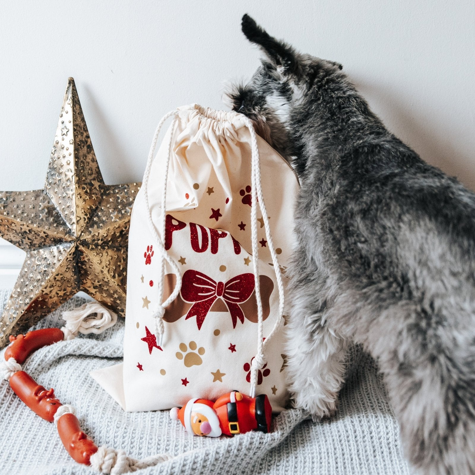 Personalised Glitter Dog Christmas Sack - I am Nat Ltd - Christmas Sack