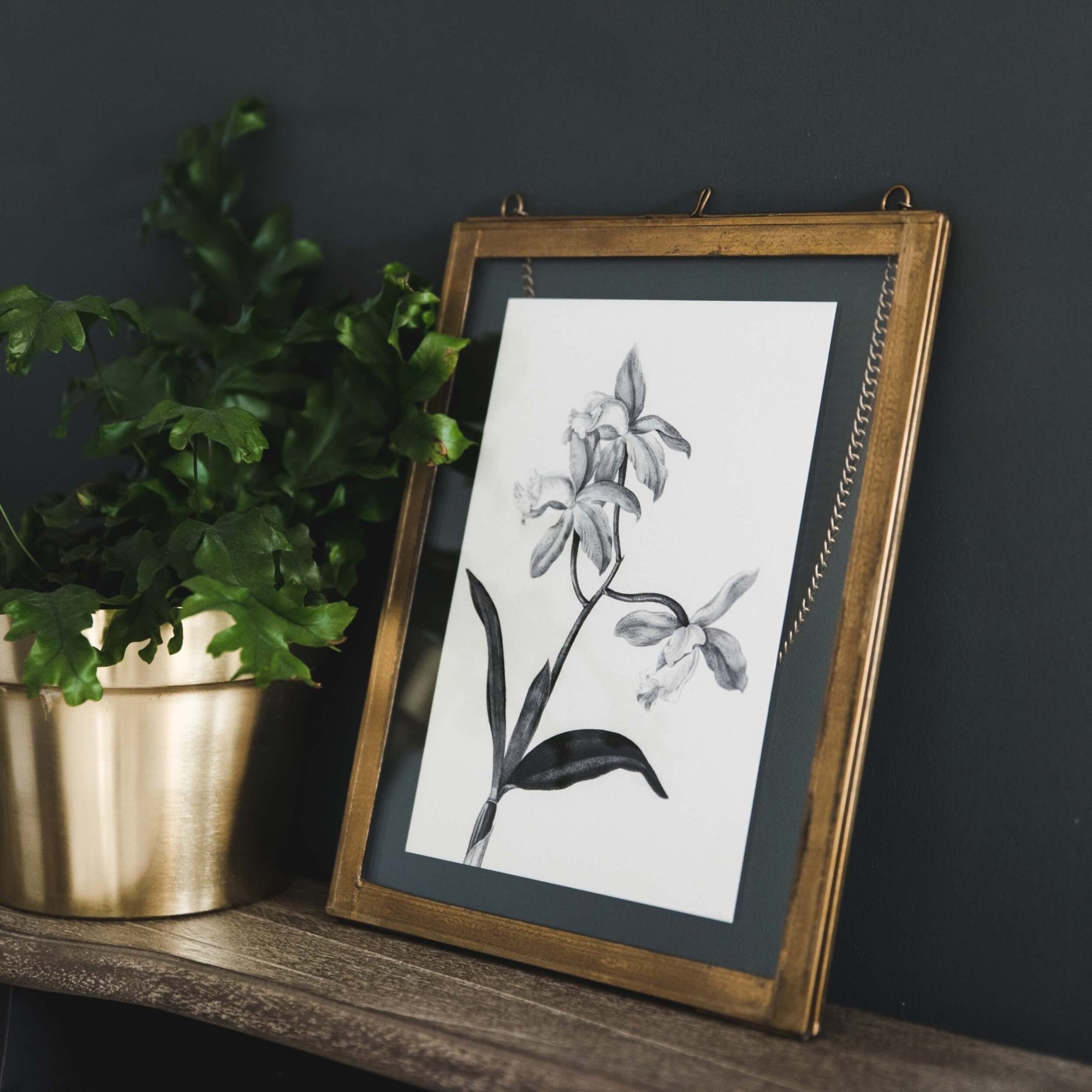 'Cattleya' Vintage Botanical Illustration Print - I am Nat Ltd - Print