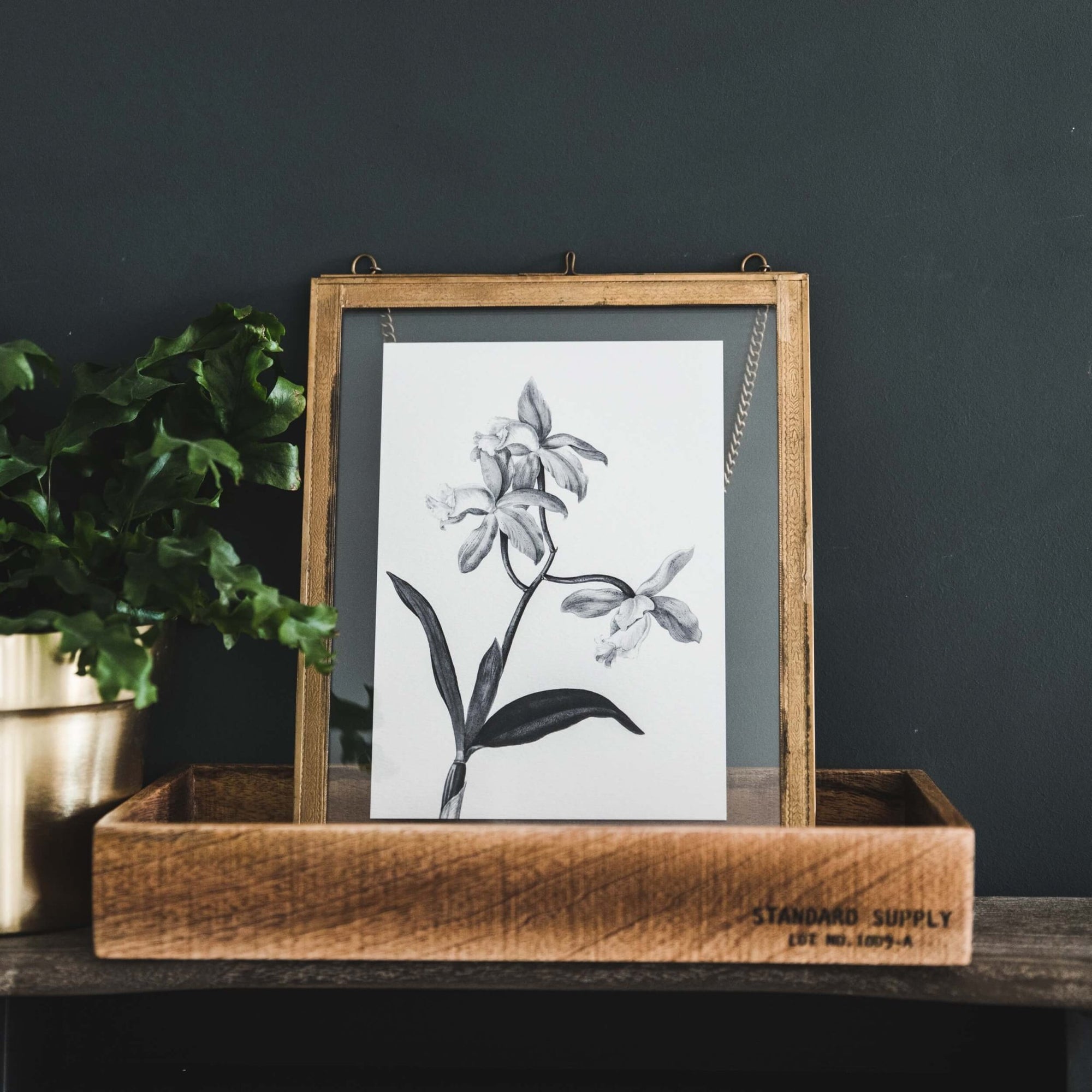 'Cattleya' Vintage Botanical Illustration Print - I am Nat Ltd - Print