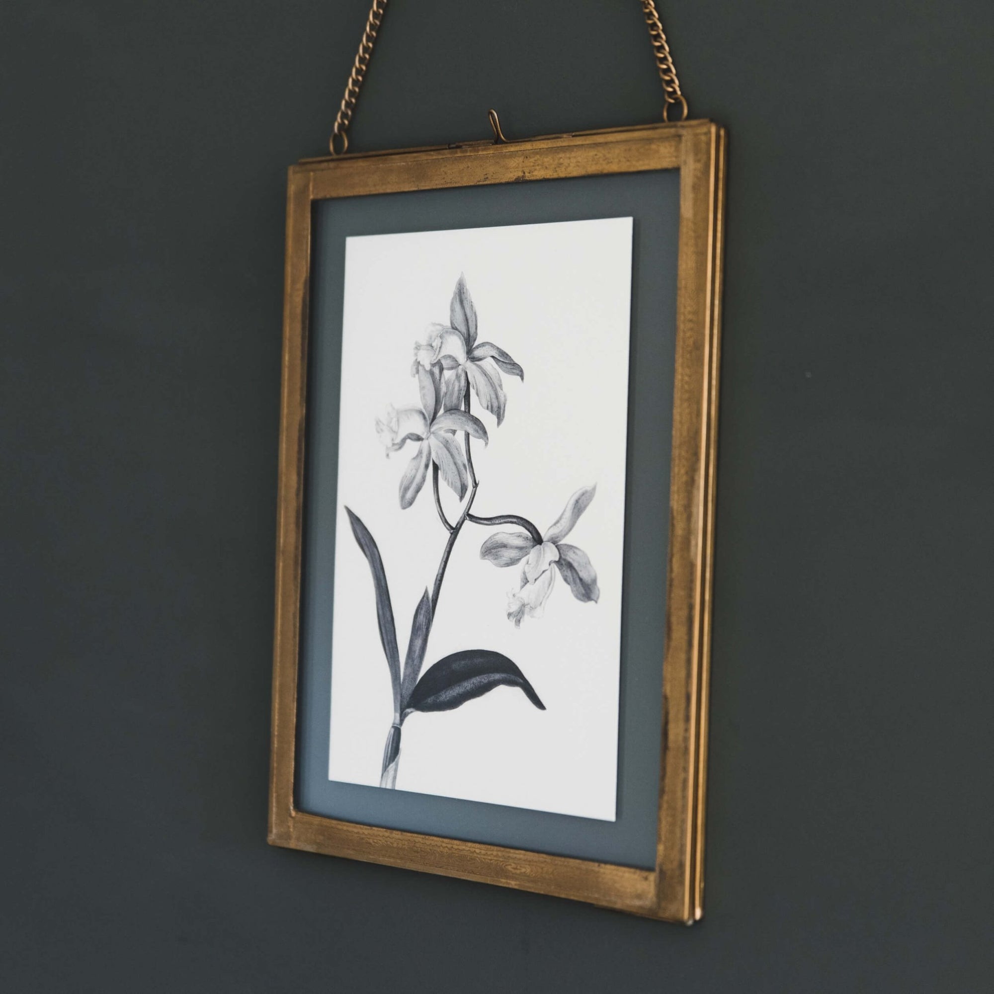 'Cattleya' Vintage Botanical Illustration Print - I am Nat Ltd - Print