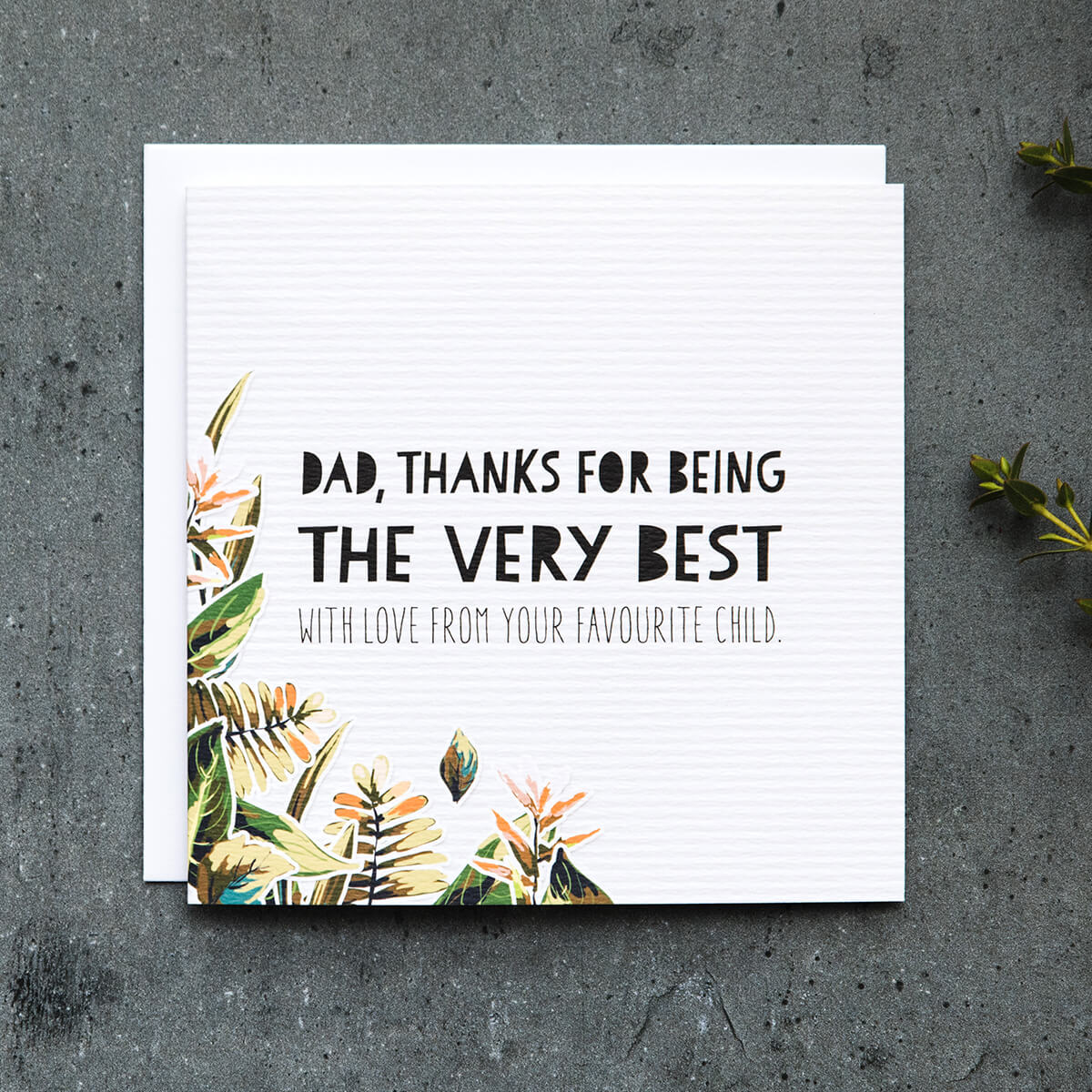 'The Very Best' Funny Father's Day Card - I am Nat Ltd - Greeting Card