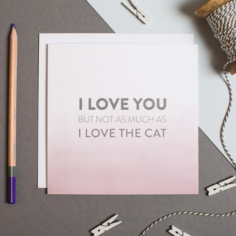 ‘Not As Much As The Cat’ Anniversary Card - I am Nat Ltd - Greeting Card